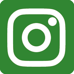 instagram icon